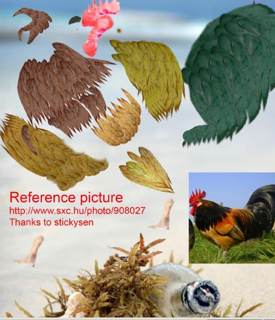 Creation of Rooster: Step 3